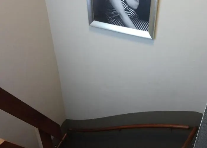 מלון De Hofjes 3*